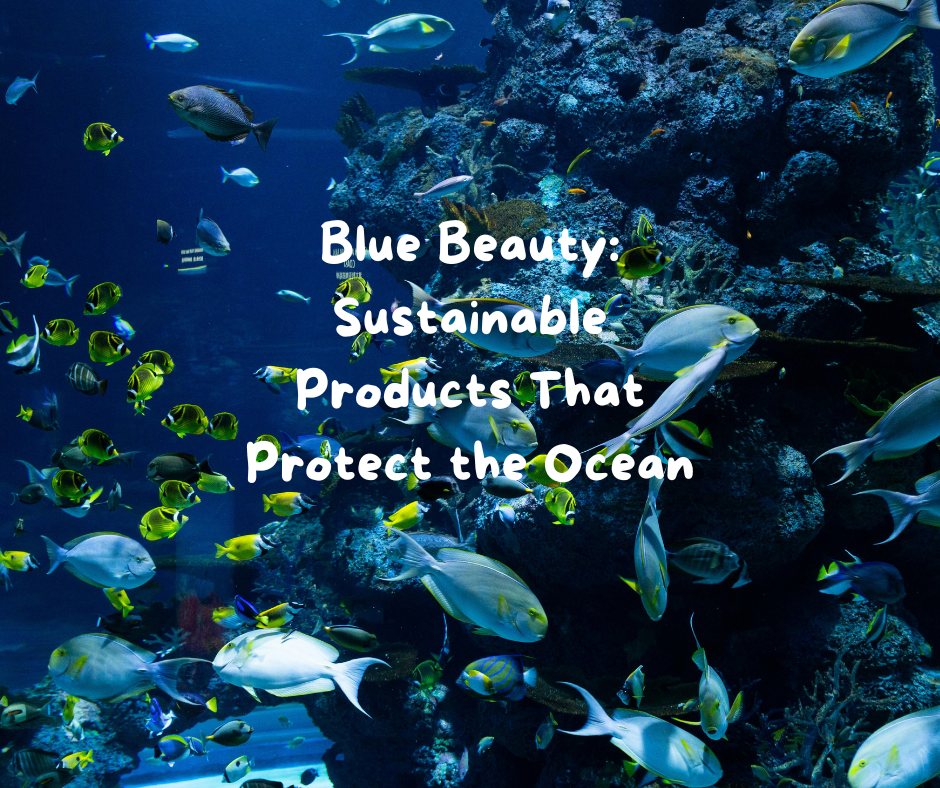 Read more about the article Blue Beauty: Sustainable Products That Protect the Ocean